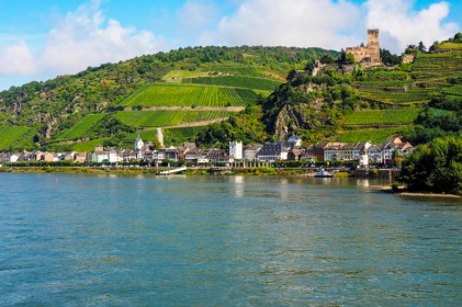 an historic town and castle in the German Rhine valley