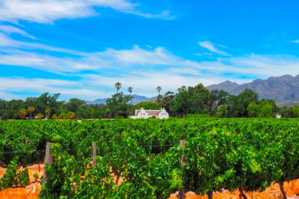Allee Bleu Wine Estate, Western Cape