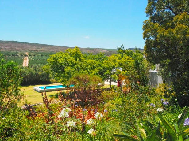 Eight cool things to do in Elgin Valley, South Africa