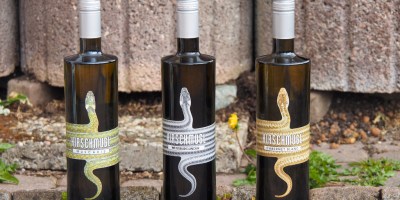 Hirschmugel Domaene – Getting a sense of the amazing South Styria white wines