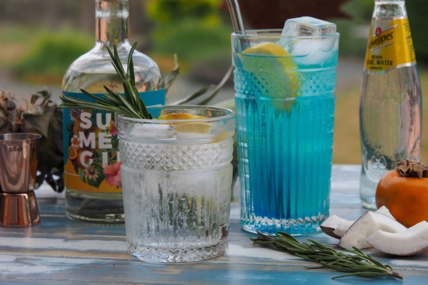 Wajos Summer Gin: A Tropical New Western Dry Gin To Sip This Summer